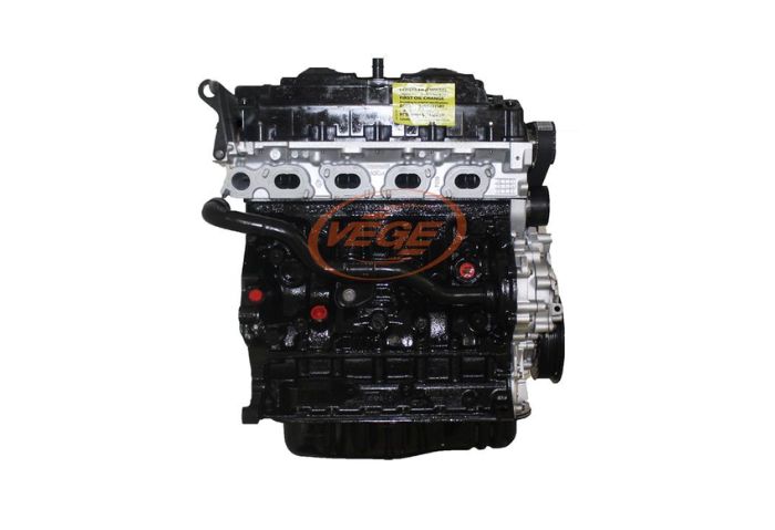 Motor Renault 2.5 dci TD DOH 16v (2)